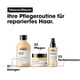 thumbnail image 5 of L'Or&eacute;al Professionnel Paris Absolut Repair Shampoo 500ml, 5 of 9