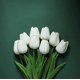 thumbnail image 3 of 24 piezas de tulipanes artificiales de látex blanco, ramo de flores artificiales para novias para el hogar, bodas, fiestas, decoración de oficina, arreglos florales, 3 of 5
