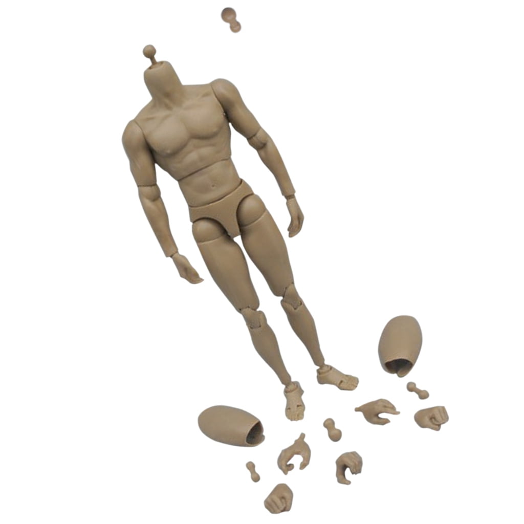 1:6 Action Figure Muscles Body Narrow Shoulder for TTM19 Toys Head Sculpture 