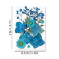 thumbnail image 1 of Colorful Natural Dried Flowers and Embossed Decorative Set, 1 of 5