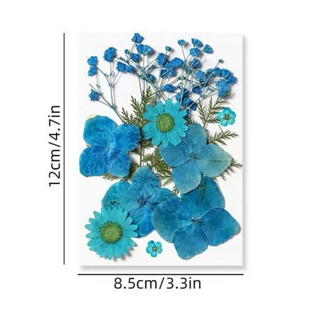 

Colorful Natural Dried Flowers And Embossed Decorative Set unique gifts