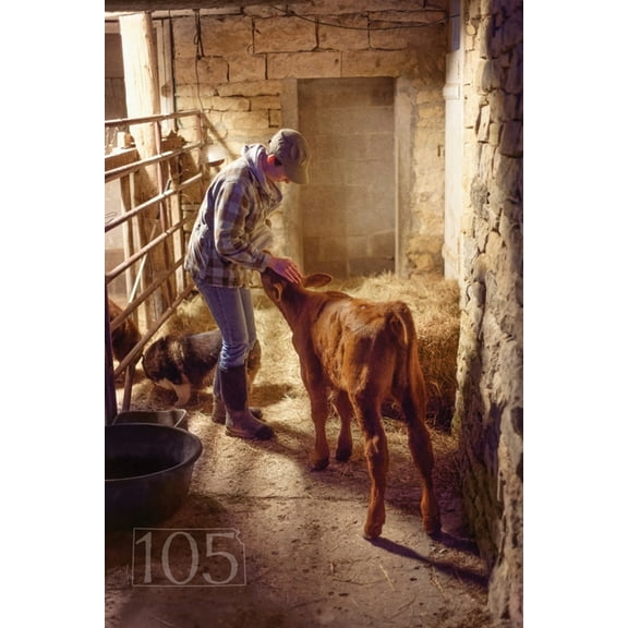 105 Meadowlark Reader 105 Meadowlark Reader: Beginnings, Book 1, (Paperback)