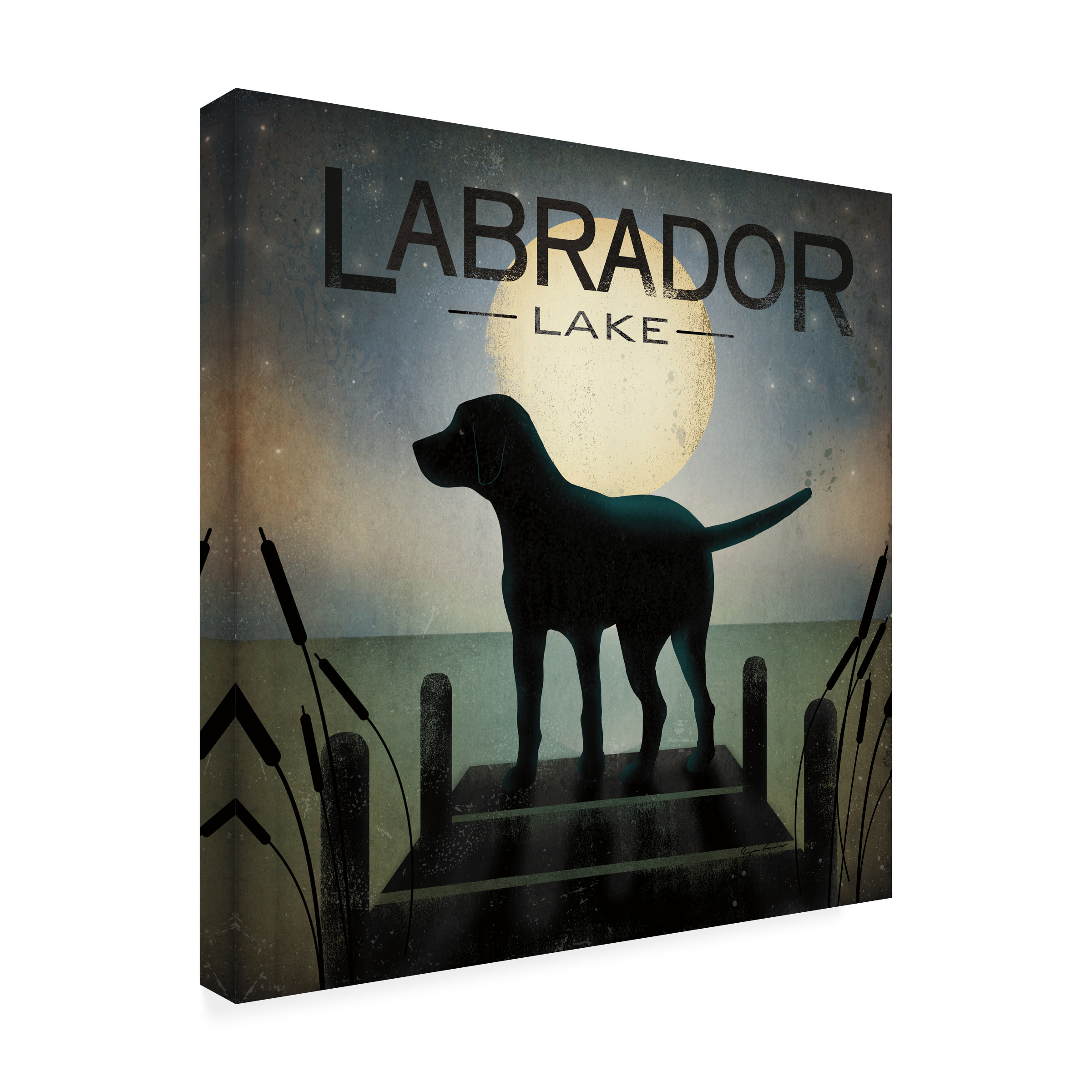 Trademark Fine Art 'Moonrise Black Dog - Labrador Lake' Canvas Art by Ryan Fowler