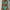 Mint Green, variant on Sakmal Bikini Sets for Women Casual Green Cheeky Two Piece Swimwear Push Up Triangle Padded Swimsuit Sets