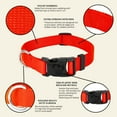 thumbnail image 6 of Country Brook Petz® Everyday Hot Orange Nylon Dog Collar, Small, 6 of 7
