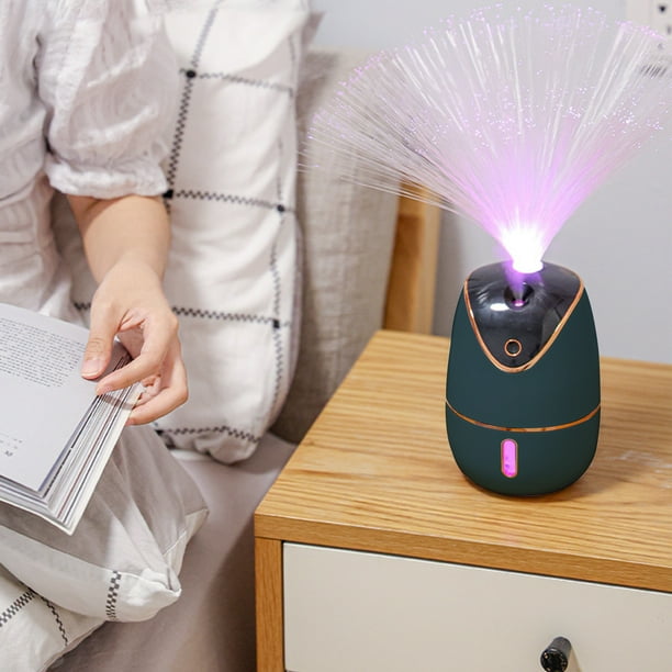 EGNMCR LED Light Humidifier Household Wireless Charging Atomizer Decoration LED Optical Fiber Flower Light Atmosphere Colorful Light Mother s Day