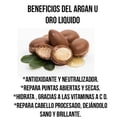 thumbnail image 3 of ALAZÁN, SHAMPOO DE CABALLO PARA USO HUMANO, CON ARGAN, PARA CABELLO MALTRATADO Y PROCESADO FORMULA ORGANICA ALAZAN 1 BOTELLA DE 1 LT, 3 of 4