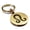 Gold, variant on Stainless Steel Leo Zodiac Sign (Lion) Round Medallion Keychain Circle Ring