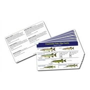 Fish Ident-I-Cards Set