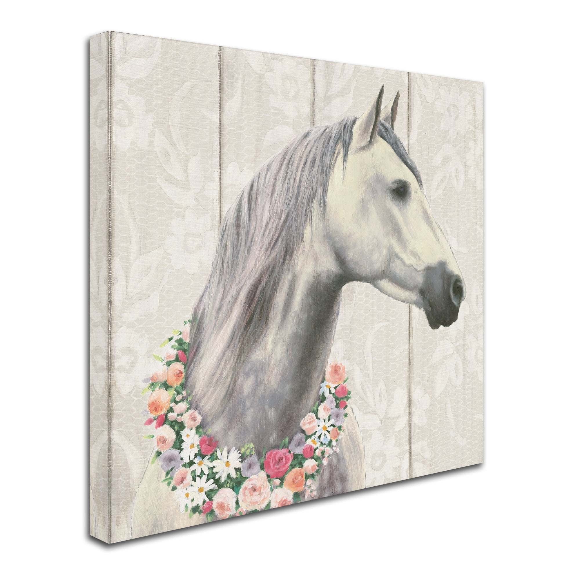 Trademark Fine Art 'Spirit Stallion I on wood Square' Canvas Art by James Wiens