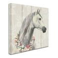 thumbnail image 2 of Trademark Fine Art 'Spirit Stallion I on wood Square' Canvas Art by James Wiens, 2 of 3