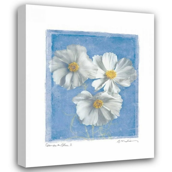 Amy Melious 20x24 Gallery Wrapped Canvas Wall Art Titled - Cosmos on Blue I