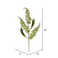 thumbnail image 2 of Vickerman QG192273 33 in. Lime Fern Leaf Spray - 6 per Bag, 2 of 2
