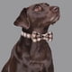 thumbnail image 3 of Toalla de baño para perros, bata de baño absorbente de agua para mascotas, limpieza para perros grandes y pequeños, envoltura corporal completa, toalla de baño para secar gatos 2076, 3 of 5