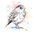thumbnail image 2 of Pinto, Patricia 15x15 Gold Ornate Wood Framed with Double Matting Museum Art Print Titled - Bird Sketch III, 2 of 4