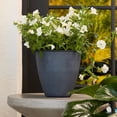 thumbnail image 2 of Bloem Arbor 6" Indoor Metal Cachepot - Decorative Planter with Powder-Coated Finish, Removable Drain Plug, Black, 2 of 7