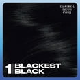 thumbnail image 3 of Clairol Nice'n Easy Permanent Hair Color Cream, 1 Blackest Black, Hair Dye, 1 Application, 3 of 14