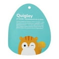 thumbnail image 4 of Squishmallows 7.5" Harvest Quigley the Squirrel, 4 of 5