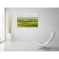 thumbnail image 5 of Epic Art 'Wine Country View I' by Tim O'Toole, Acrylic Glass Wall Art, 36"x24", 5 of 5