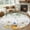 Gray, variant on 2x3 Door Mat Rug, Daisy Spring Floral Non-Skid Rubber Backing Large Rectangle Rugs - Living Room Bedroom Home Office, Farmhouse Botanical Green Leaves Vintage Indoor Floor Mat Carpets Washable Rug