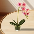 thumbnail image 5 of ZFSBZBS 13in Artificial Orchid Flower in Pot, Silk Orchid Arrangement with Glass Vase,Silk Phalaenopsis Indoor Decor for Home Table Centerpiece F, 5 of 5