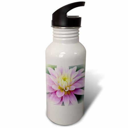 

3dRose Beauty Dahlia Rumi Floral Inspirational Quotes Poetry Sports Water Bottle 21oz