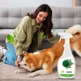 thumbnail image 6 of Multipurpose Cleaning Spray 2-in-1 Cleaner & Disinfectant | Natural Extracts | Safe for Kitchen & Food Areas | Odor Eliminator | 500ml | No Harsh Additives | Quick Home Freshener, 6 of 7