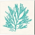 thumbnail image 5 of Great Art Now Pacific Sea Mosses Aqua by Wild Apple Portfolio 4 Piece Canvas Art Set Each 14"W x 14"H, 5 of 5