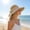 Khaki, variant on Outdoor Wide Brim Sun Hat with Neck Flap,UPF50+ Breathable Mesh Visor Hat,Poly Travel Leisure Hat,Water-Resistant,for Men Women,Spring Summer Fishing Camping Hiking Accessories,Pink