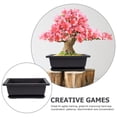 thumbnail image 3 of 5 sets Flowerpots de plástico Bonsai Flor Pot Jardinería Soporte de planta suculenta, 3 of 5
