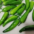 thumbnail image 2 of 20 Pcs Artificial Vegetables Fake Red Chili Potato Model Kitchen Decoration, 2 of 9