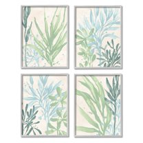 Stupell Industries Aquatic Botanical Seaweed Plants Graphic Art Gray Framed Art Print Wall Art, Set of 4, Design by June Erica Vess