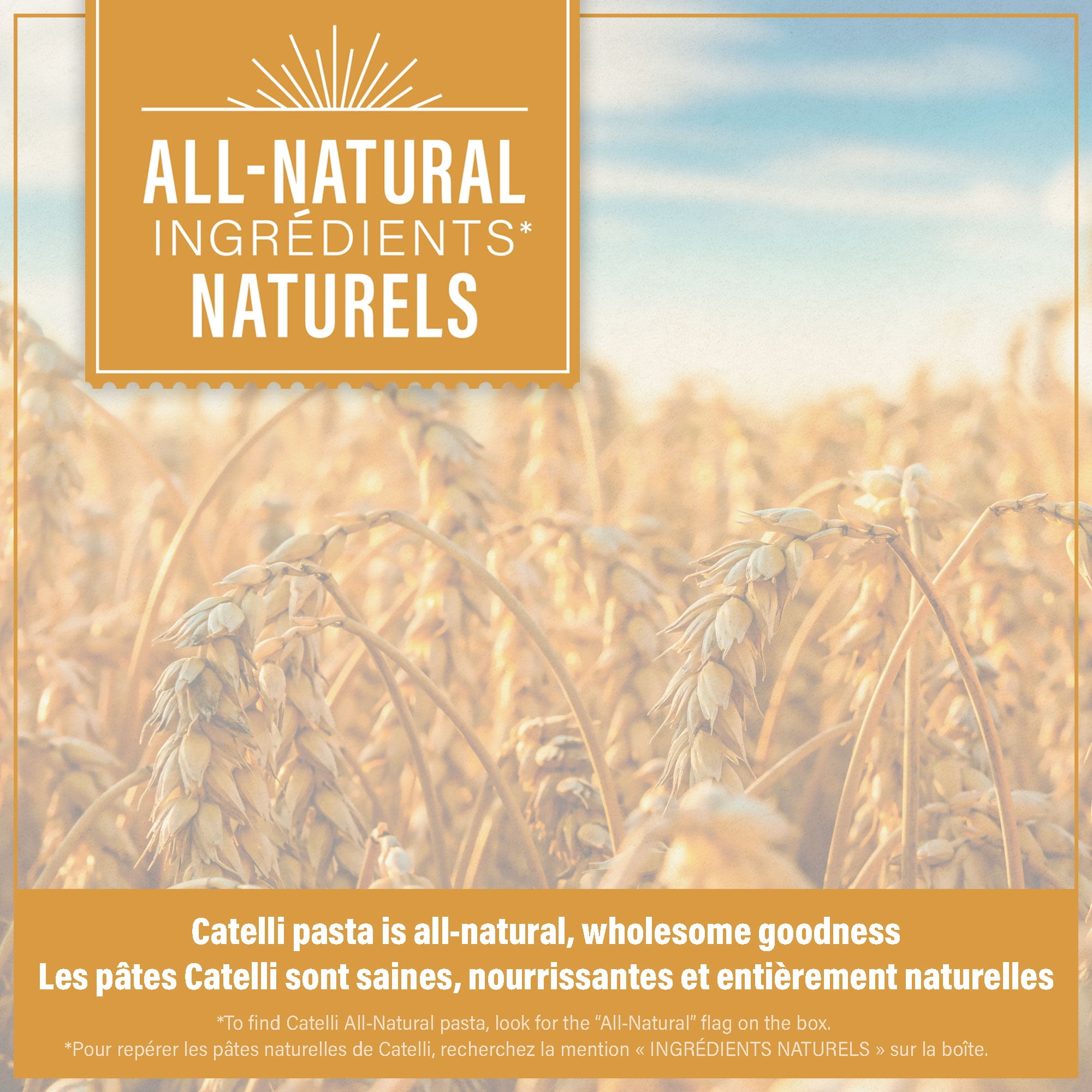 Catelli Classic All-Natural Macaroni Pasta, 500 g