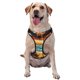 thumbnail image 1 of Fotbe Beach Umbrella Sunset Arnés para Perro con Estampado –Chaleco Ajustable Acolchado con Asa de Control para Perros Grandes-X-Large, 1 of 6