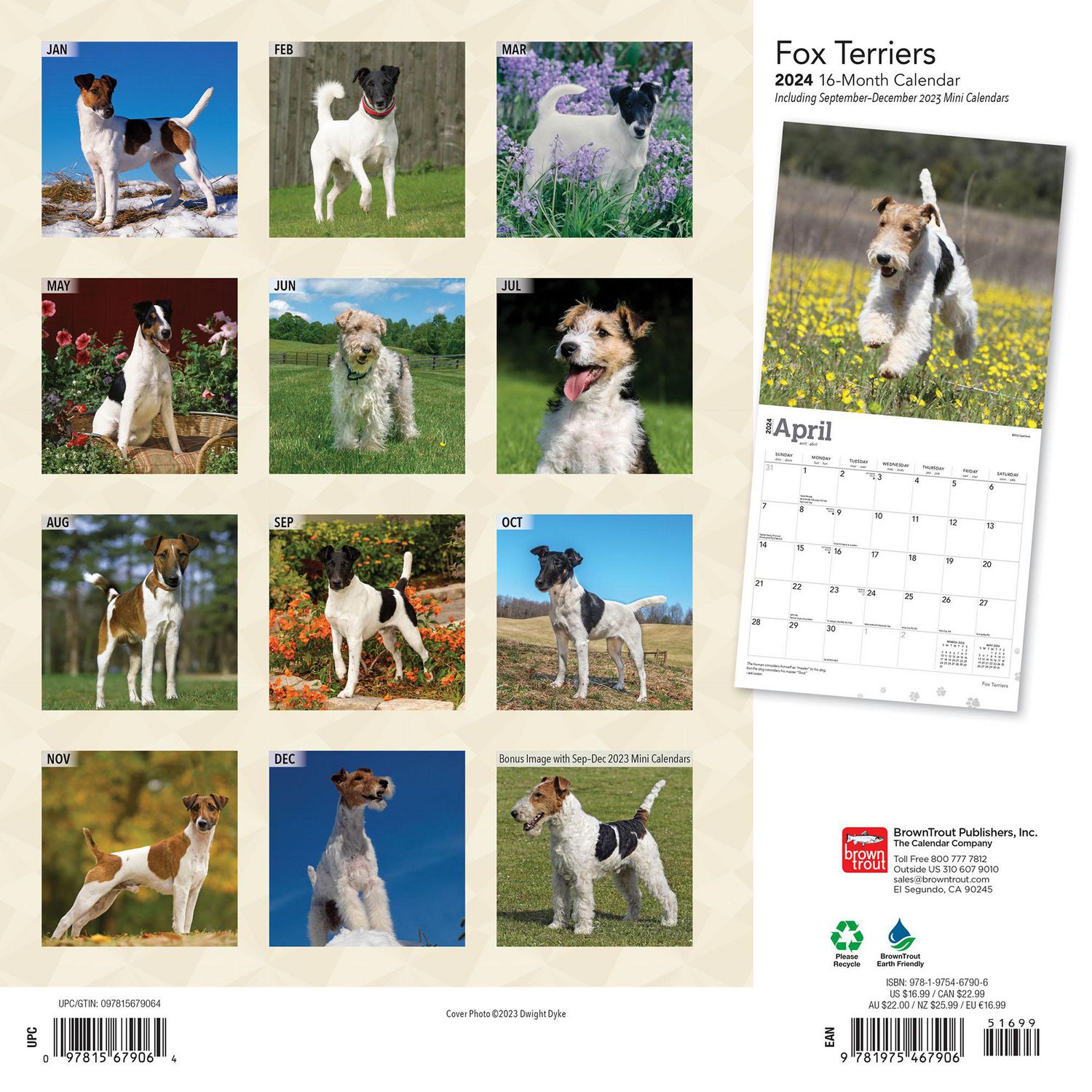 BrownTrout Fox Terriers 2024 12x24 Inch Square Wall Calendar, 9781975467906