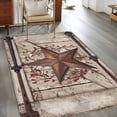 thumbnail image 2 of Texas Star Retro Area Rugs 4'x6', Washable Small Throw Rugs for Office Bathroom, Brown Beige Wooden Berry Vintage Indoor Outdoor Rug Non-Slip Low Pile Carpet Runner Reversible Floor Mats, 2 of 8