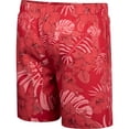 thumbnail image 3 of Men's Colosseum Red Maryland Terrapins The Dude Swim Shorts, 3 of 3