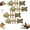 4Catnip Flavor, variant on Natural Silvervine Cat Chew Toy Fish Bone,Chew Stick，4Catnip Flavor | Catnip and Silvervine Chew,Creative Fish Bone Cat Dental Teeth Cleaning Chew Toy for Chewing,Licking,Pawing,Boredom Relief