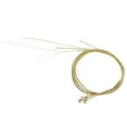 View all media