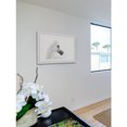 thumbnail image 5 of Marmont Hill "White Beauty" Framed Painting Print, 5 of 6