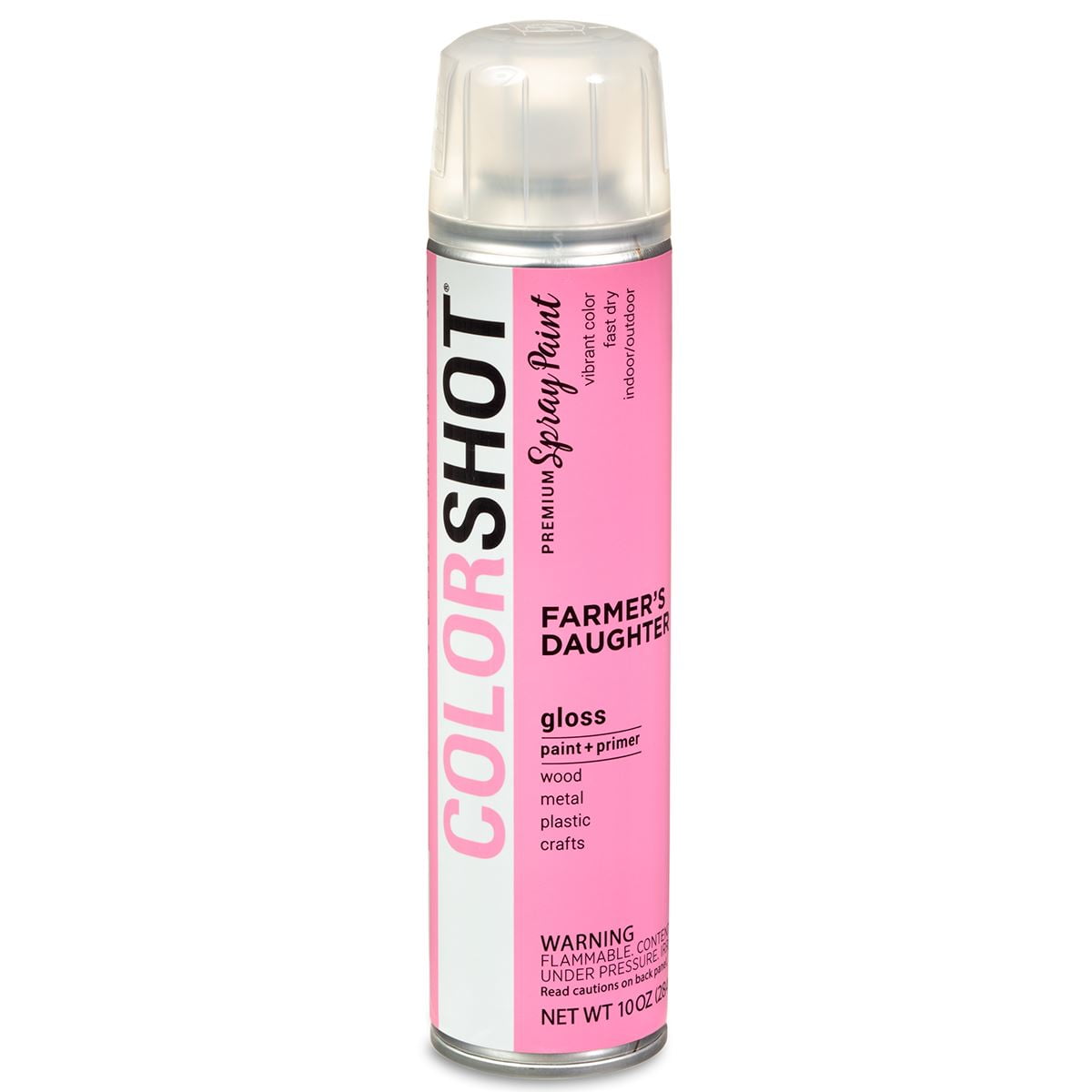 (2 pack) COLORSHOT Premium Multi-Surface Gloss Farmers Daughter Spray Paint - 10 oz - Pink