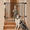 Black-28" H, 26-43" W-Standard, variant on 31.5-55" No Bottom Bar Gate Extra Wide 2-in-1 Auto Close Dog For The House Stairs And Doorways With Large Walk Thru Door White