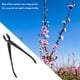 thumbnail image 2 of Bonsai Miniascape Boca plana inclinada (opcional) Alicates para cortar ramas Bonsai, 2 of 3