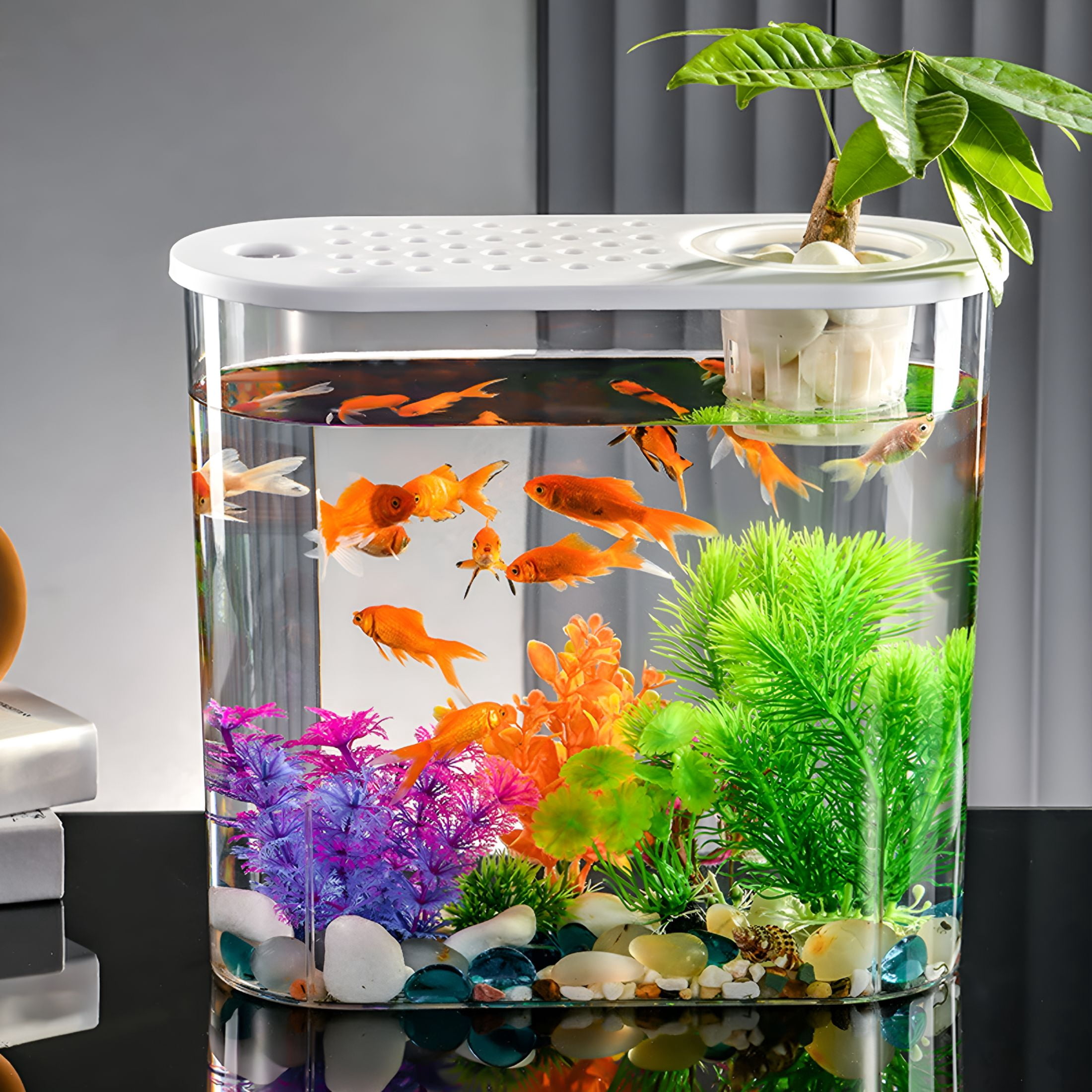 ACDANC Small Fish Tank 2 Gallon Glass Aquarium Starter Kits, Desktop Betta Fish Tank Beta Fish Aquariums with Filter and Light, Room Desktop Decor, Gifts