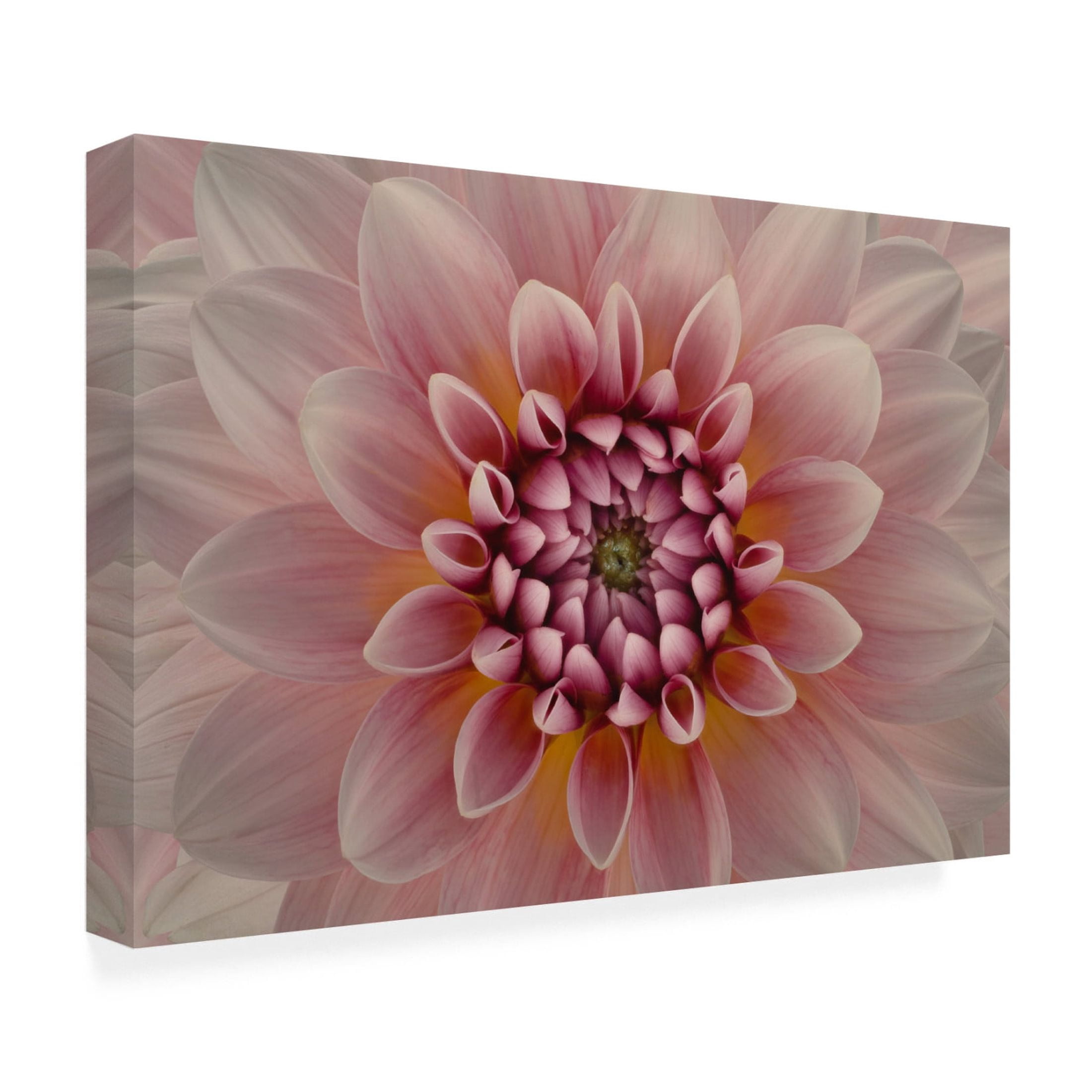 Canvas Wall Art - Richard Urbanski 'Blush' Wall Art for Living Room, Bedroom, or Office Décor by Trademark Fine Art - 19 x 12 Inches