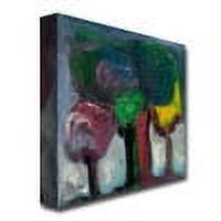 Trademark Fine Art "Bosque de Niebla" Canvas Art by Boyer