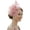 Rose Gold, variant on Lumistal Womens Fascinators Hats Tea Party Hats for Women Feather Veil Derby Hats for Women Headpiece Hat Clip Headband for Wedding Cocktail Accessories Halloween Decoration Light Blue One Size