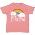 thumbnail image 3 of Inktastic Great Grandma's Little Ray of Sunshine Boys or Girls Toddler T-Shirt, 3 of 5