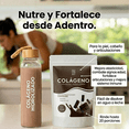 thumbnail image 4 of Agorapharma Colágeno Hidrolizado En Polvo Sabor Chocolate 500 Gr. 20 Serv., 4 of 6