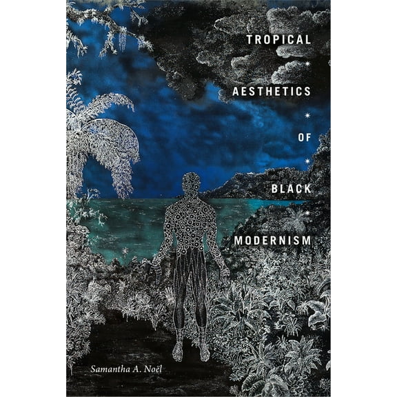 Visual Arts of Africa and Its Diasporas Tropical Aesthetics of Black Modernism, (Hardcover)